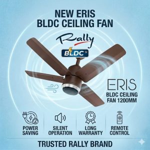 RALLY BLDC CEILING FAN 1200MM