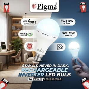 INVERTER BULB 12W